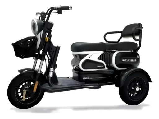 Triciclo Elétrico 1000w