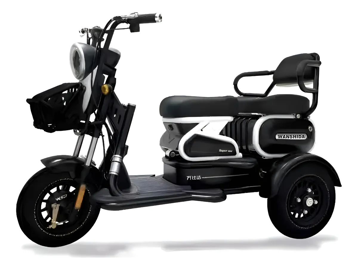 Triciclo Elétrico 1000w U1 Veego T3000