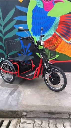 Triciclo Elétrico Duos Fox 800W